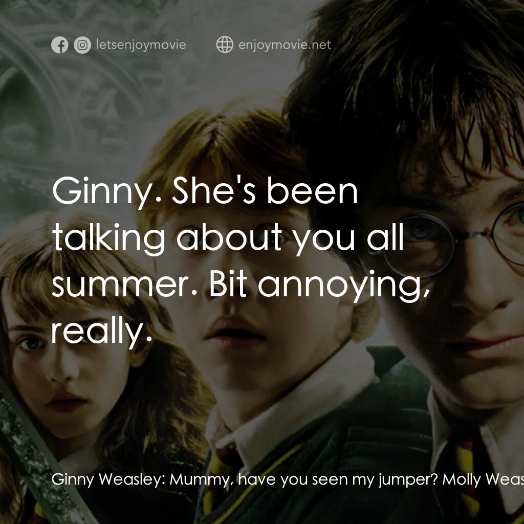 哈利波特：消失的密室電影對白：Ginny Weasley:  Mummy, have you seen my jumper? Molly Weasley:  Yes, dear, it was