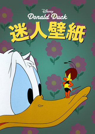 《迷人壁紙》電影海報