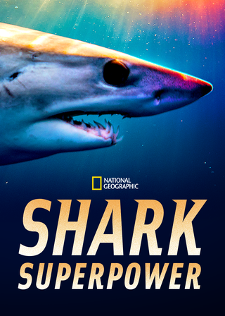 《超能鯊》電影海報