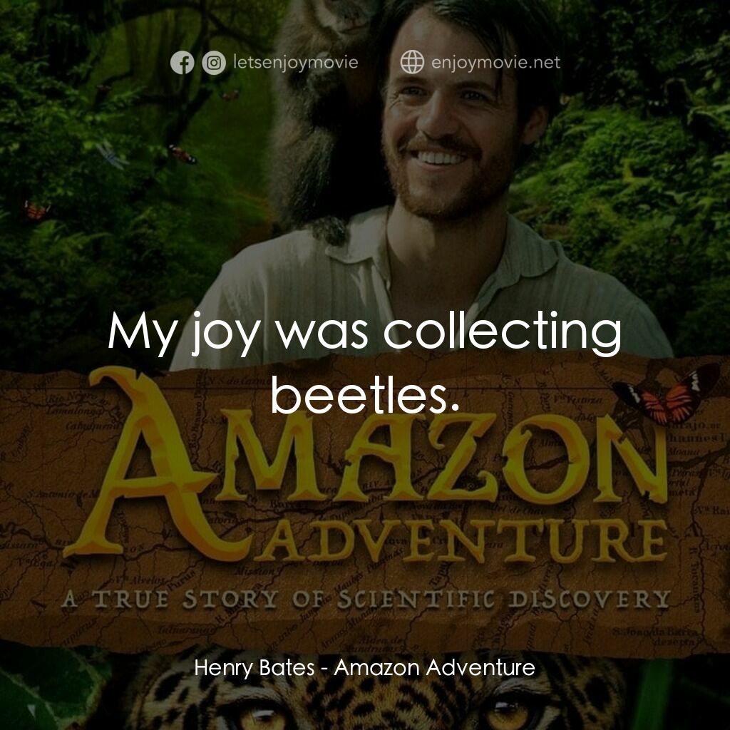 亞馬遜探秘電影對白：Henry Bates:  My joy was collecting beetles.