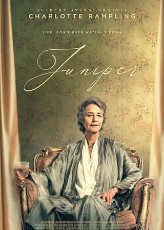 《酒鬼奶奶》電影海報