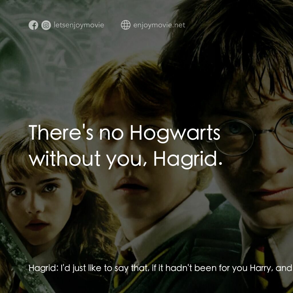 哈利波特：消失的密室電影對白：Hagrid:  I'd just like to say that, if it hadn't been for you Harry, and Ron and 