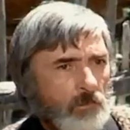 Andrei Bursaci 飾演 Ion Tupa