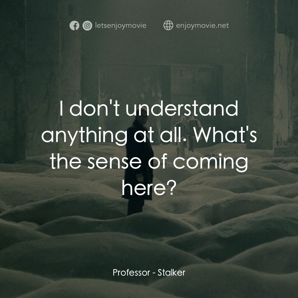 潛行者電影對白：Professor:  I don't understand anything at all. What's the sense of coming here?