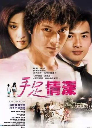 《手足情深》電影海報