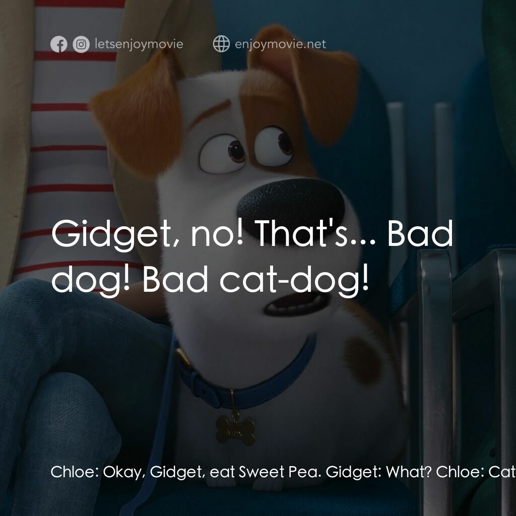 Pet Pet當家 2電影對白：Chloe:  Okay, Gidget, eat Sweet Pea. Gidget:  What? Chloe:  Cats eat birds. It's 
