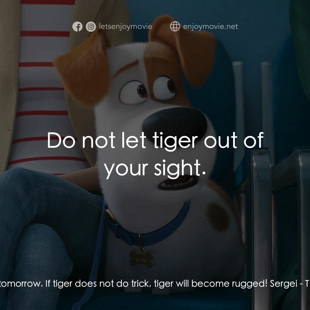 Pet Pet當家 2電影對白：Sergei:  We'll try again tomorrow. If tiger does not do trick, tiger will become 