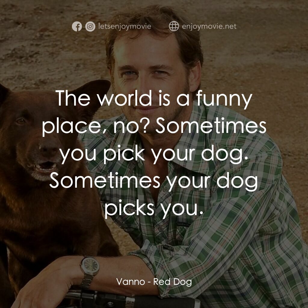 紅狗背包客電影對白：Vanno:  The world is a funny place, no? Sometimes you pick your dog. Sometimes yo
