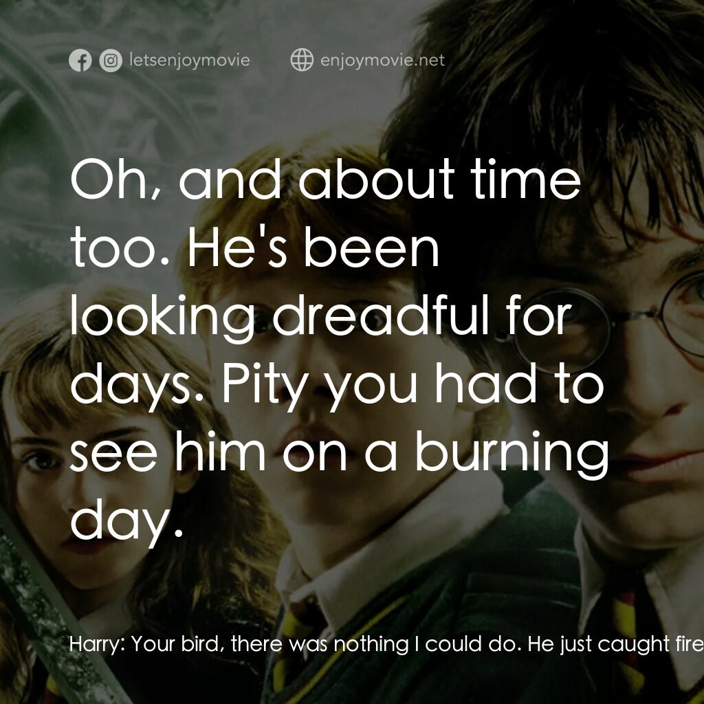 哈利波特：消失的密室電影對白：Harry:  Your bird, there was nothing I could do. He just caught fire. Dumbledore: