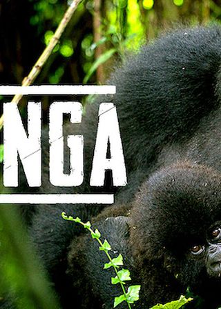 《維倫加》電影海報