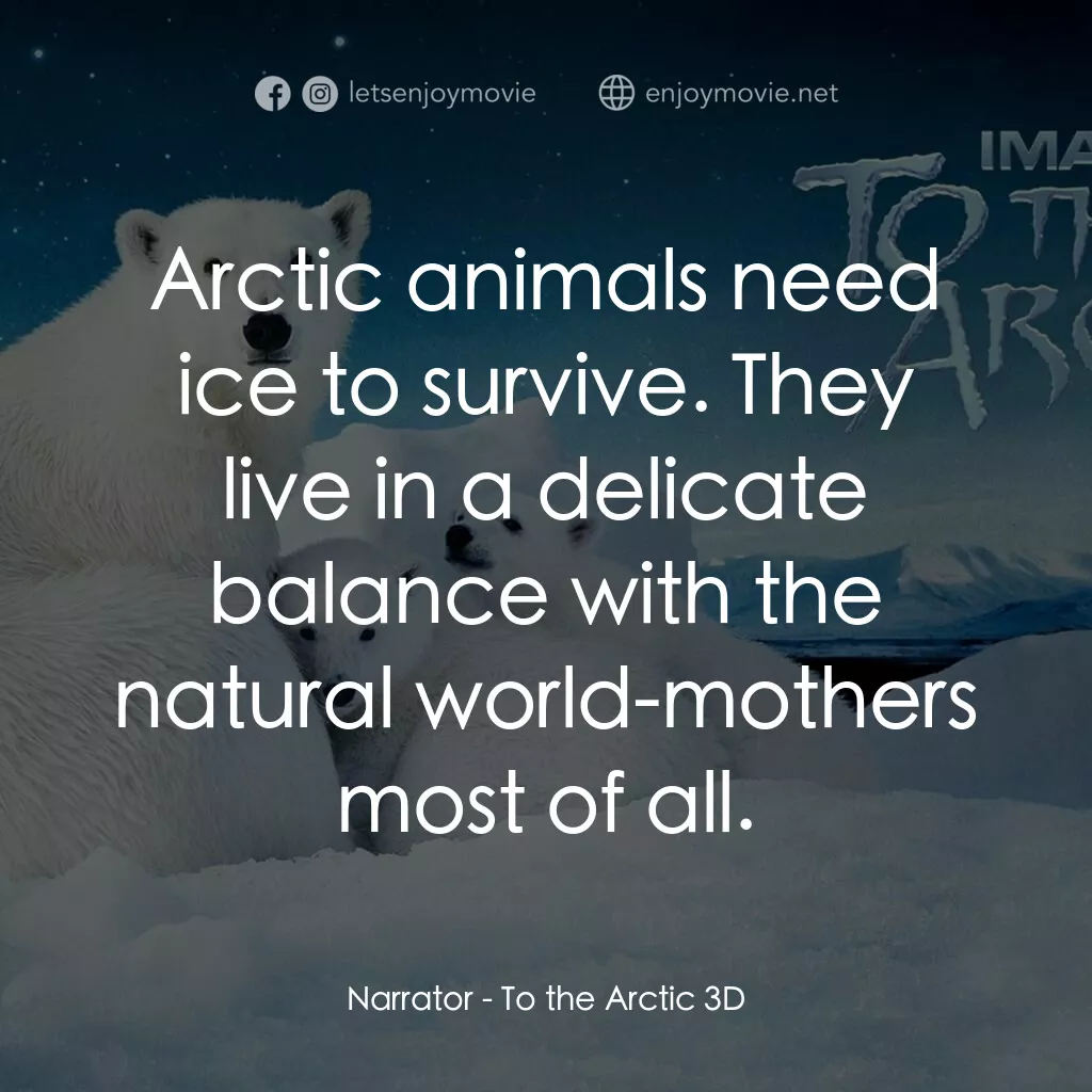 到北極去電影對白：Narrator:  Arctic animals need ice to survive. They live in a delicate balance wi