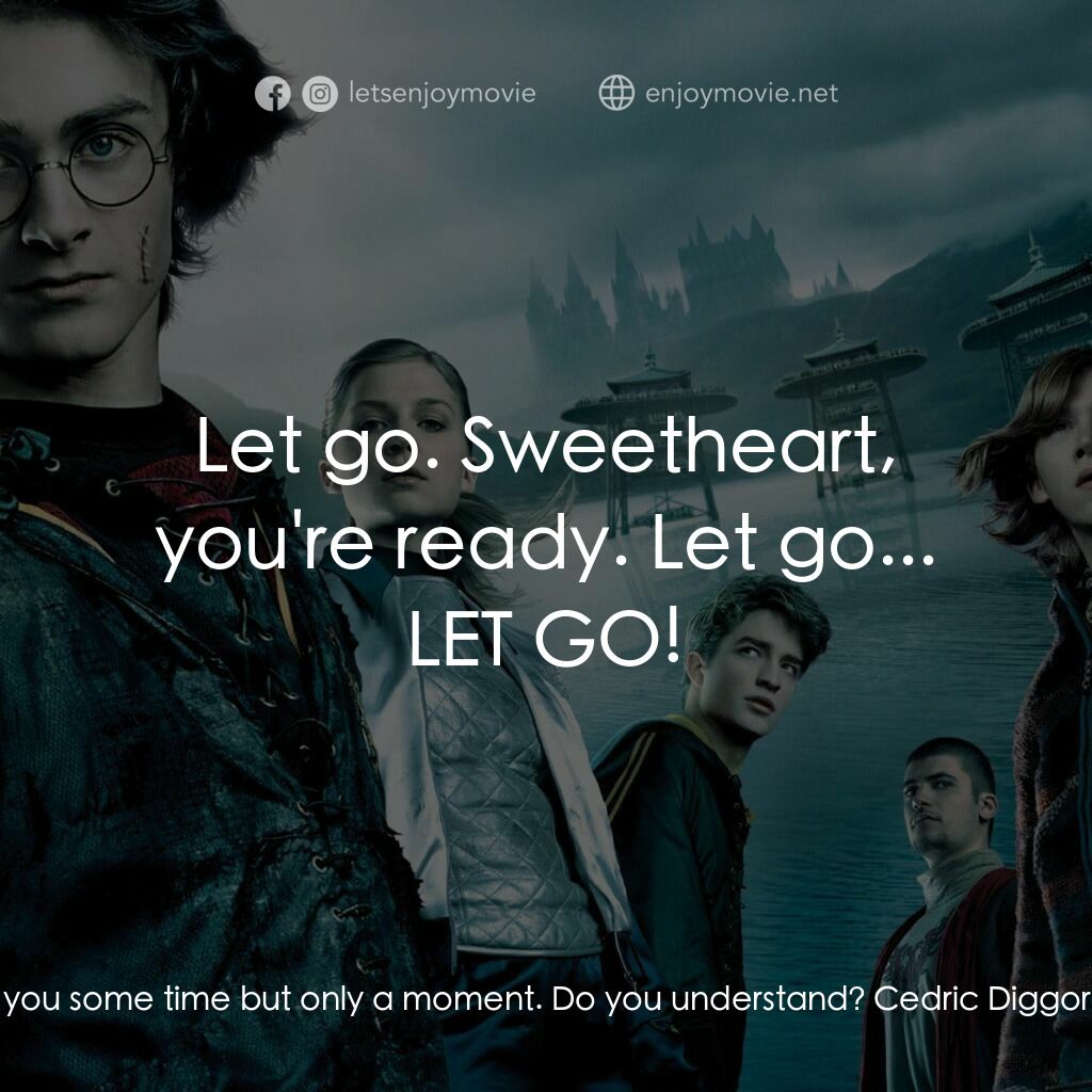 哈利波特：火盃的考驗電影對白：James Potter:  Harry! When the connection is broken you MUST get to the Portkey. 