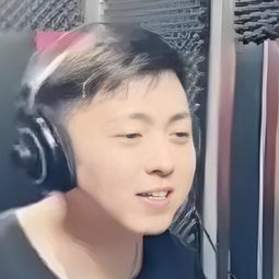 孙尧东 飾演 配音(Voice)