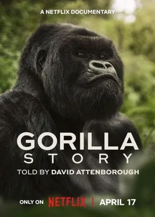 《大衛艾登堡：大猩猩的故事》電影海報