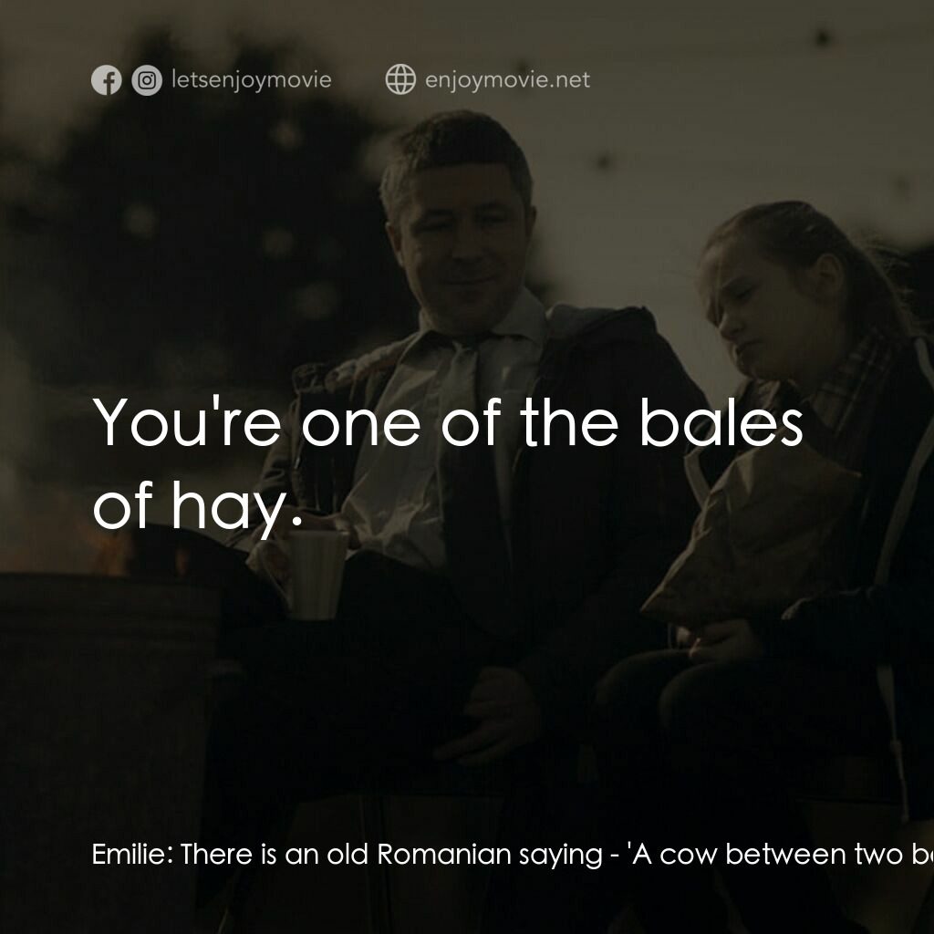 臨時家長指引電影對白：Emilie:  There is an old Romanian saying - 'A cow between two bales of hay will g