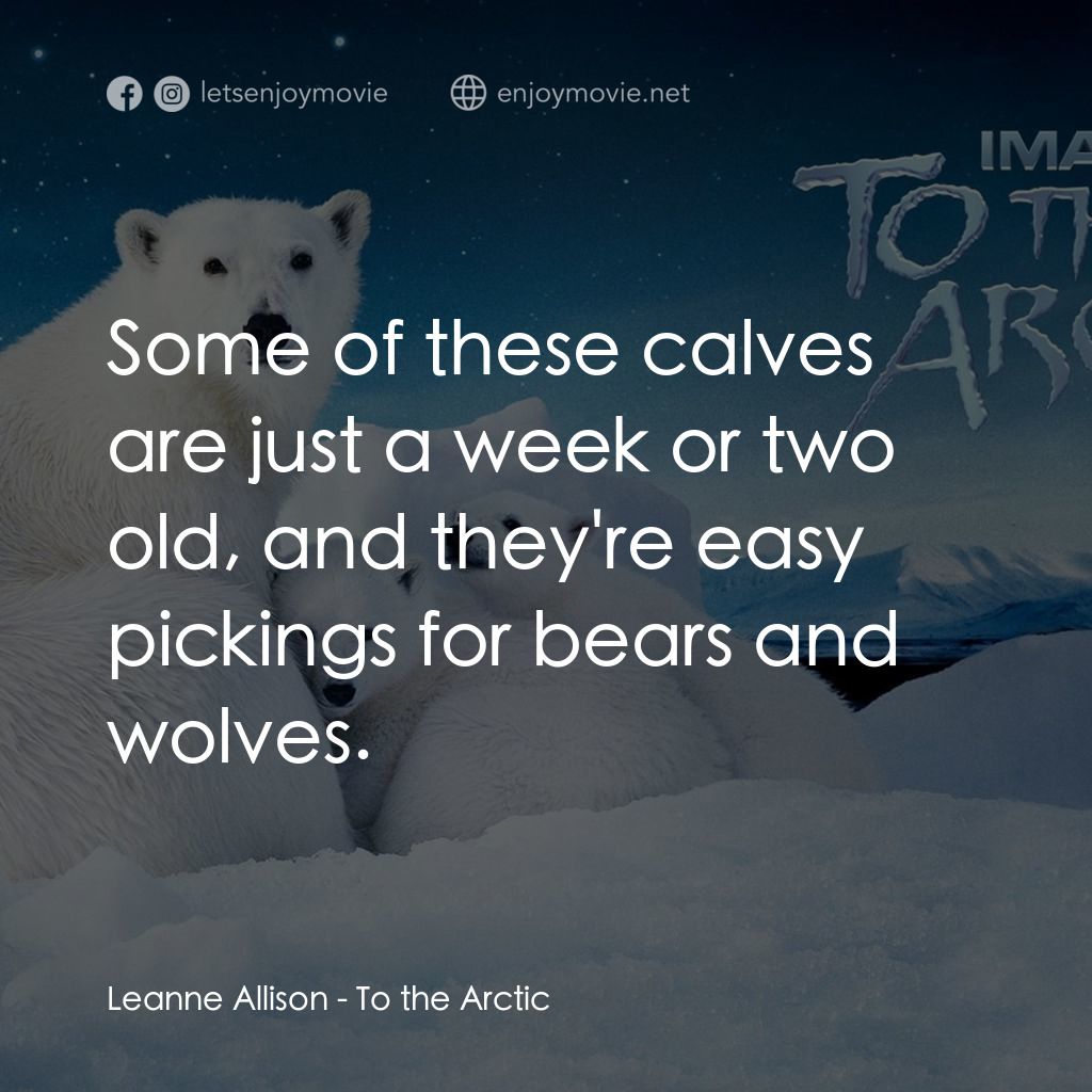 到北極去電影對白：Leanne Allison: Some of these calves are just a week or two old, and they're easy