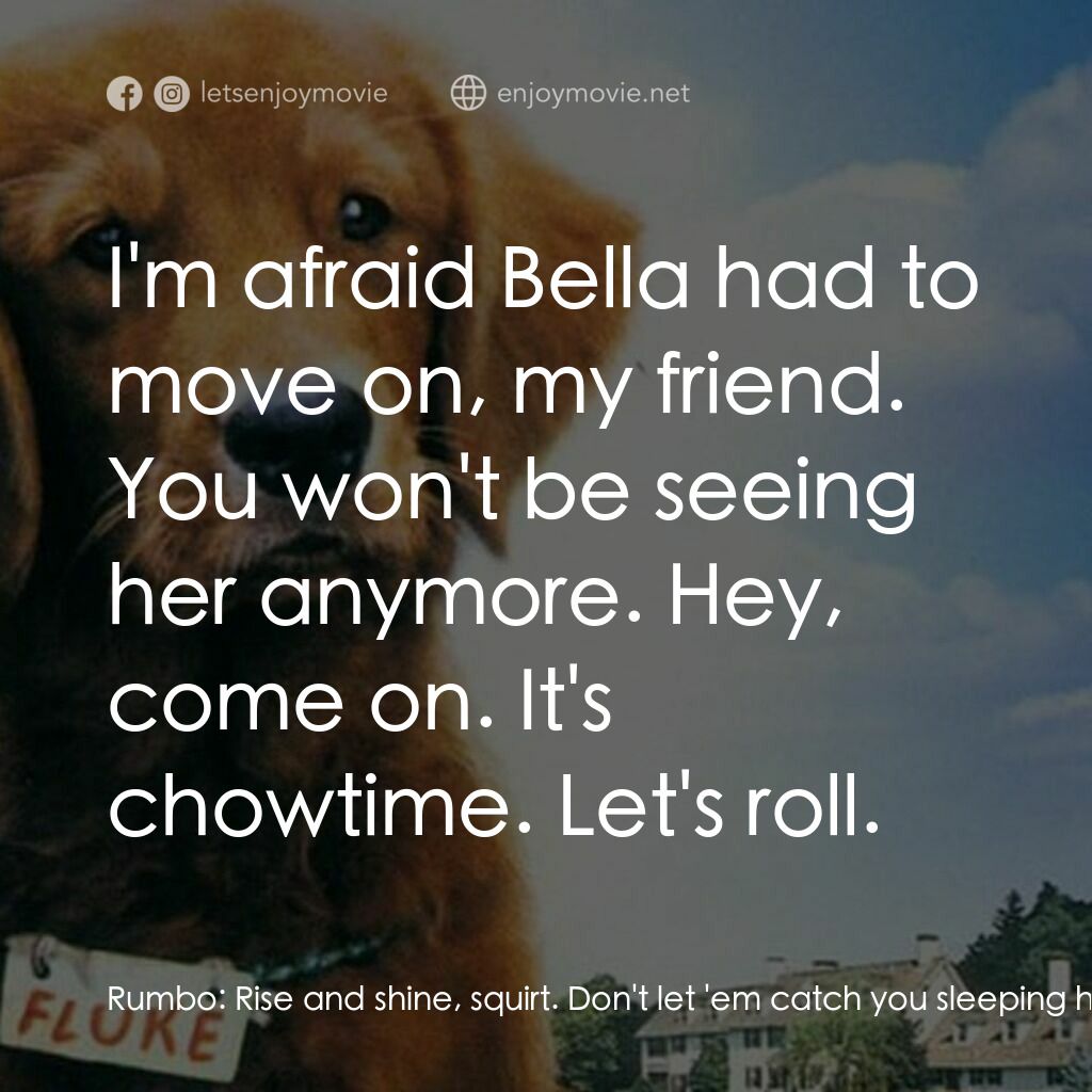 《再世人狗緣》經典台詞：Rumbo:  Rise and shine, squirt. Don't let ' ...