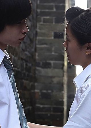 《野犬與貓咪》電影海報