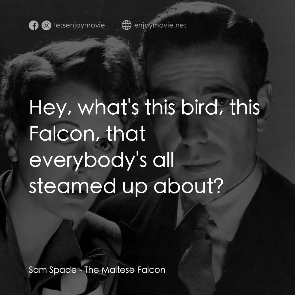群雄奪寶鷹電影對白：Sam Spade:  Hey, what's this bird, this Falcon, that everybody's all steamed up a