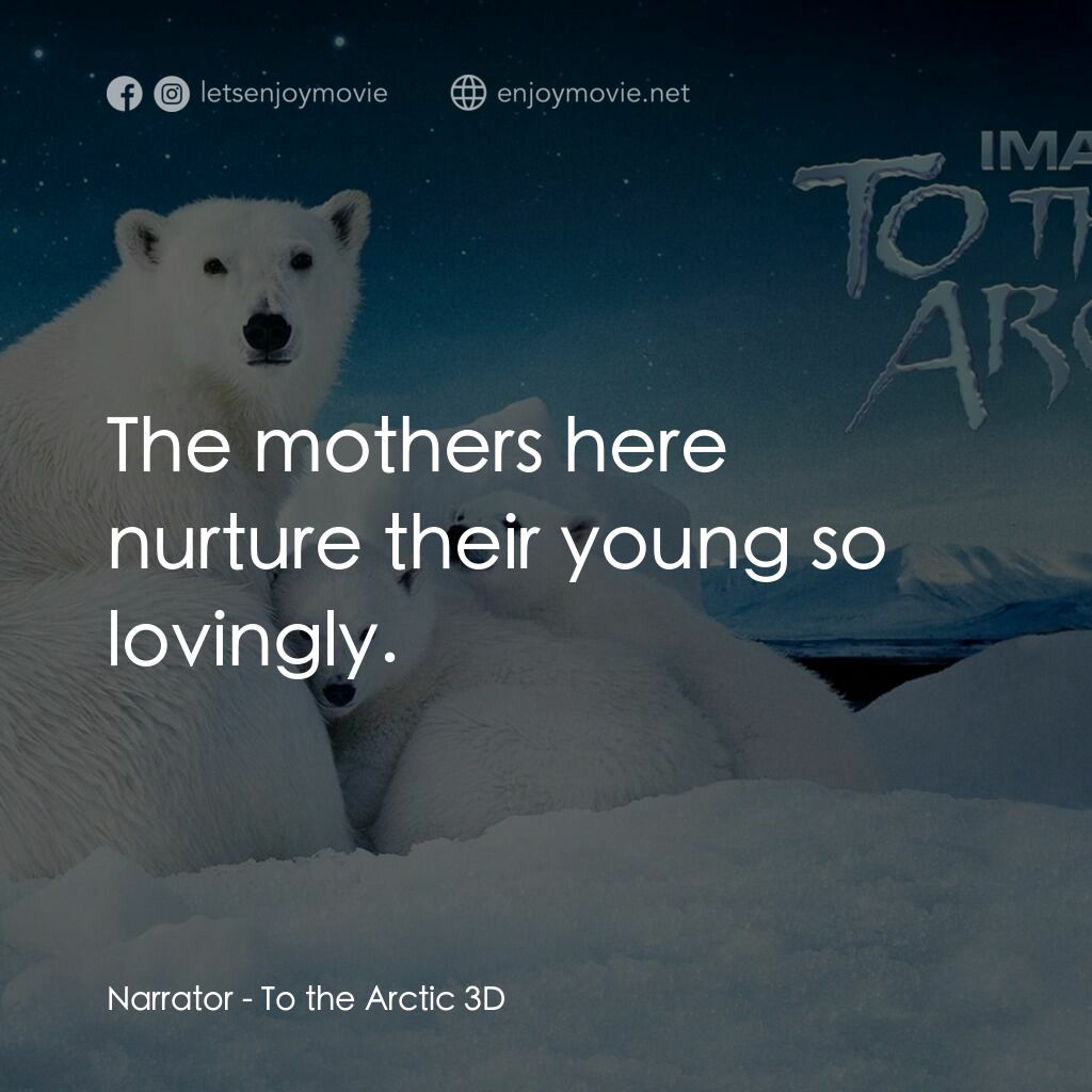 到北極去電影對白：Narrator:  The mothers here nurture their young so lovingly.