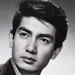 本郷功次郎 飾演 