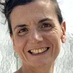 Isabelle Delannoy - 盧貝松之搶救地球編劇