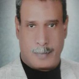 Mahmoud Bashir 飾演 