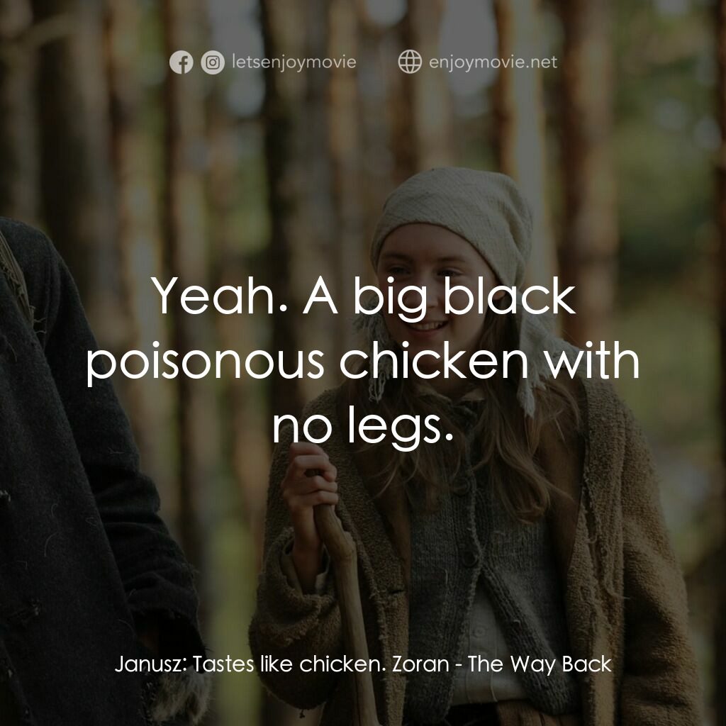 自由之路電影對白：Janusz:  Tastes like chicken. Zoran:  Yeah. A big black poisonous chicken with no