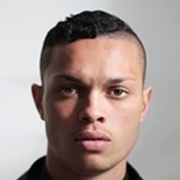 Erroll Anderson - 攻殼機動隊演員 飾演Hanka Security Agent