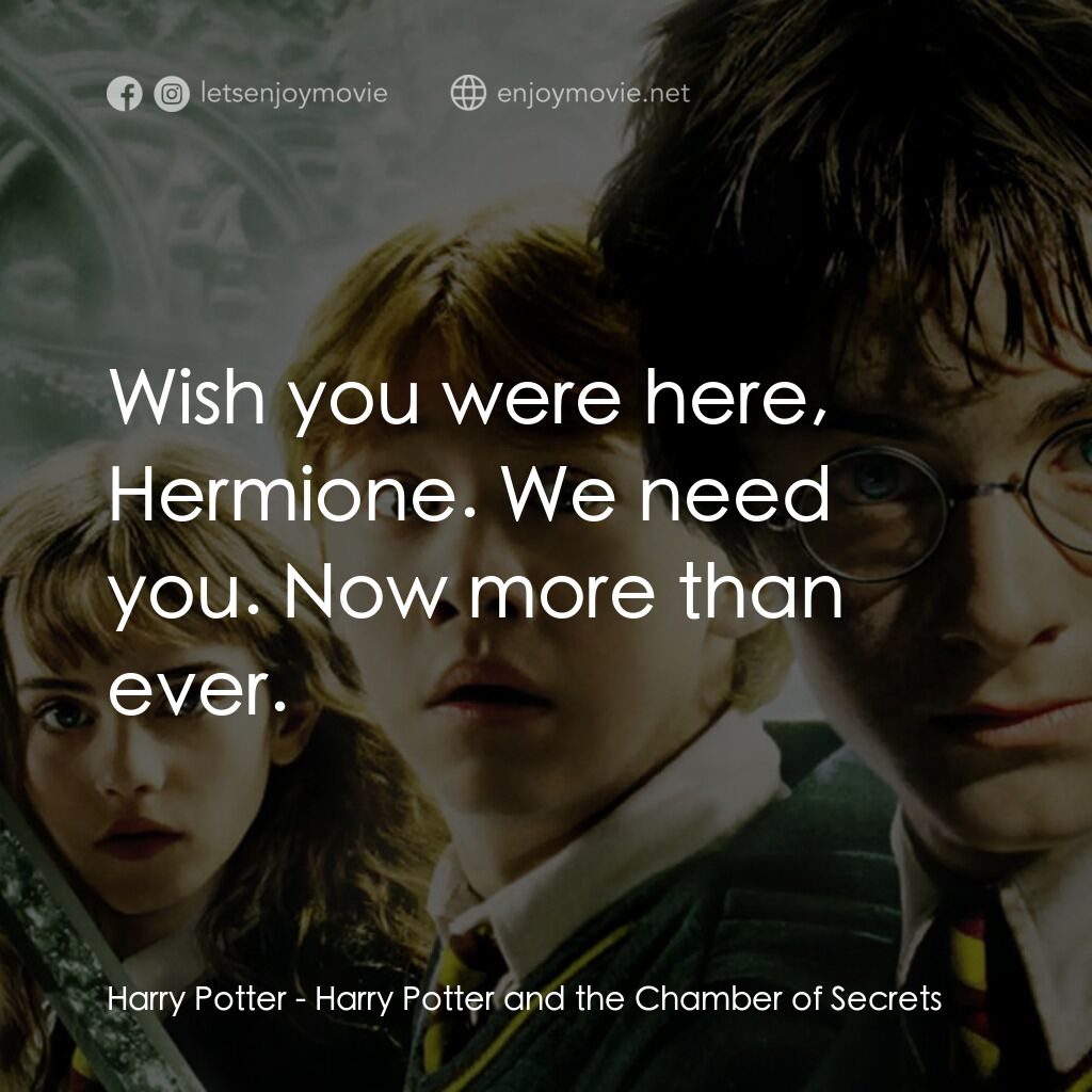 哈利波特：消失的密室電影對白：Harry Potter:  Wish you were here, Hermione. We need you. Now more than ever.