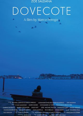 《Dovecote》電影海報