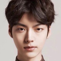 安宰賢 飾演 Leng An