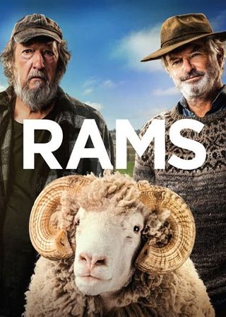 《公羊》電影海報