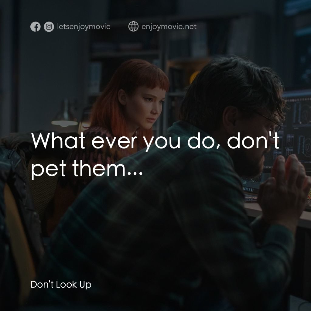 千萬別抬頭電影對白：What ever you do, don't pet them...