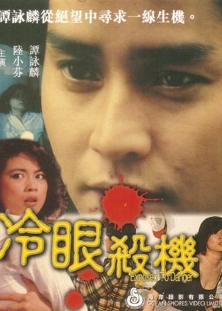 《冷眼殺機》電影海報