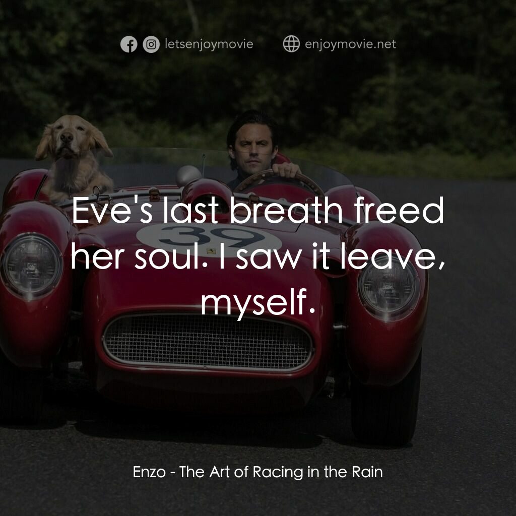 我在雨中等你電影對白：Enzo:  Eve's last breath freed her soul. I saw it leave, myself.