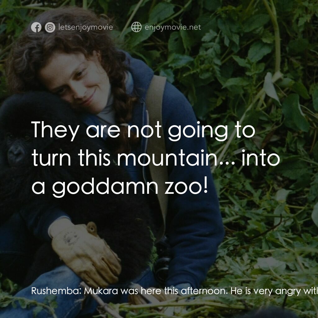 迷霧森林十八年電影對白：Rushemba:  Mukara was here this afternoon. He is very angry with you. He says you