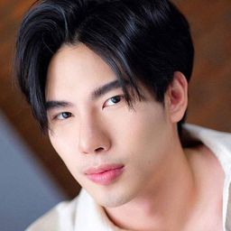 Nattapol Diloknawarit 飾演 