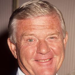 Martin Milner 飾演 Joe