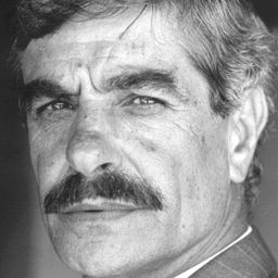 Paolo Fiorino 飾演 Lanzillo