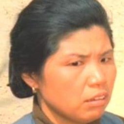 嘉玲 - 移花接木演員 飾演