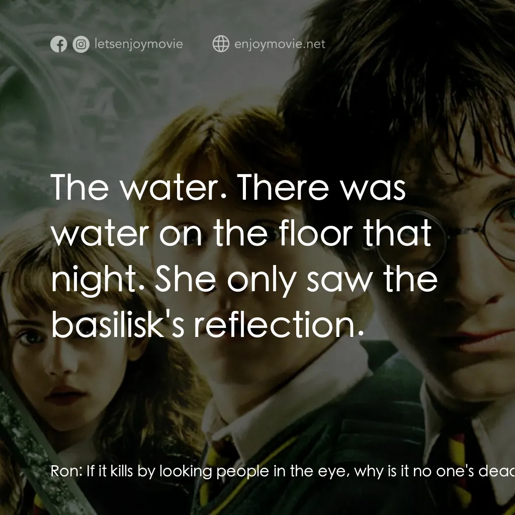 哈利波特：消失的密室電影對白：Ron:  If it kills by looking people in the eye, why is it no one's dead? Harry:  