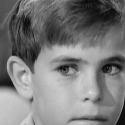 Charles Herbert - 生活的困景演員 飾演