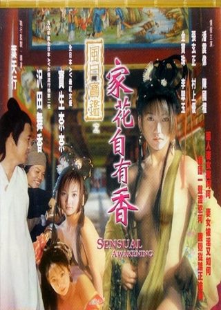 《風月寶鑑之家花自有香》電影海報