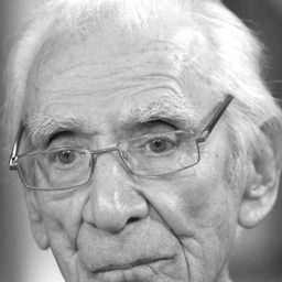 Lukas Ammann - The Devil Strikes at Night演員 飾演Public Defender