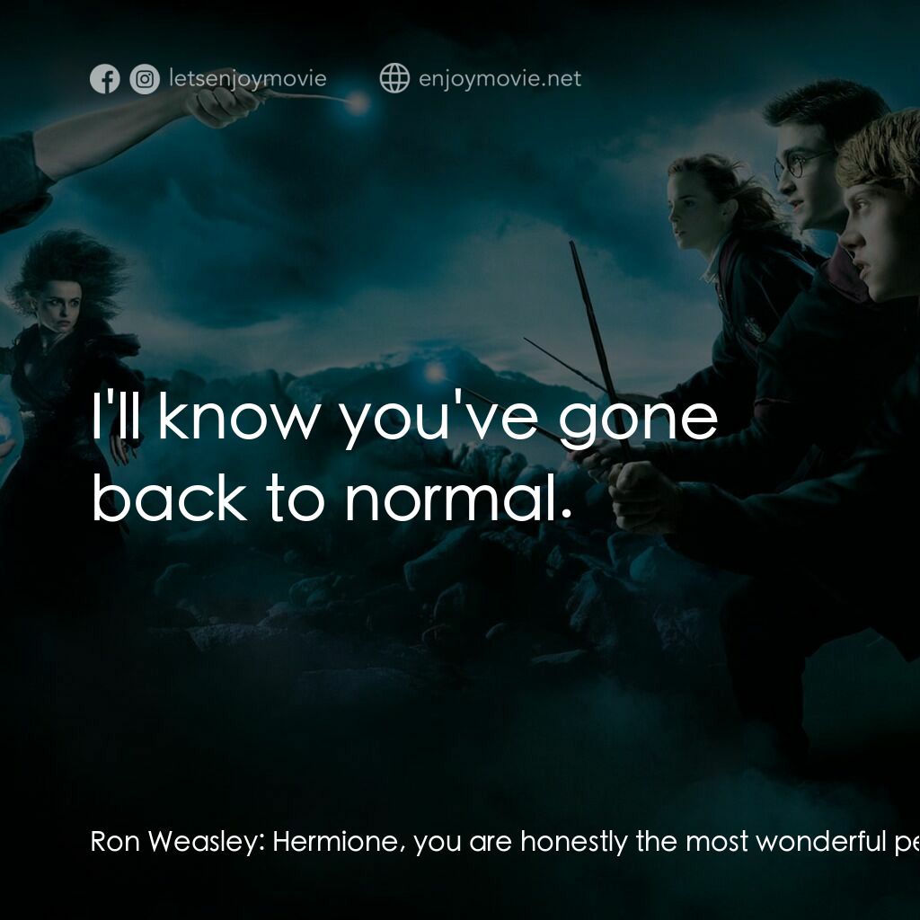 哈利波特：鳳凰會的密令電影對白：Ron Weasley:  Hermione, you are honestly the most wonderful person I have ever me