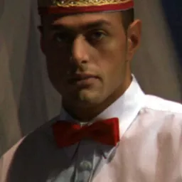 William De Vito 飾演 Ali