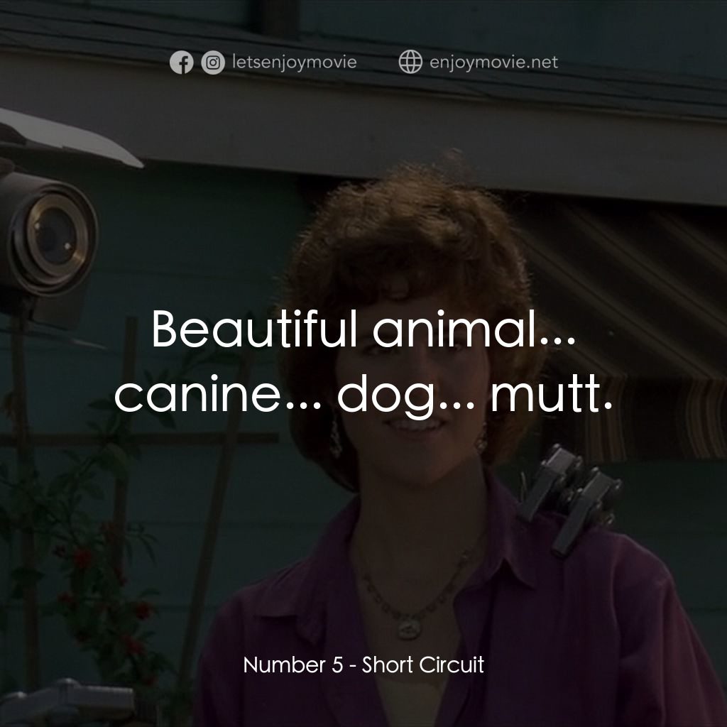 霹靂五號電影對白：Number 5: Beautiful animal... canine... dog... mutt.
