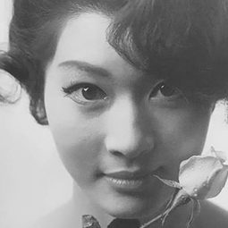 久保菜穂子 飾演 