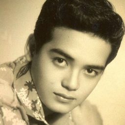 Dindo Fernando - Ang Kabiyak演員 飾演